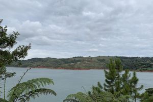 Actividad - Buga y Lago Calima en Cali