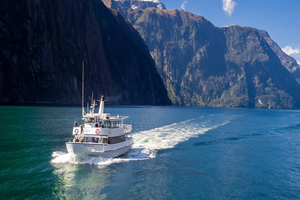Actividad - Descubra Milford Sound con almuerzo - Excursión de día completo