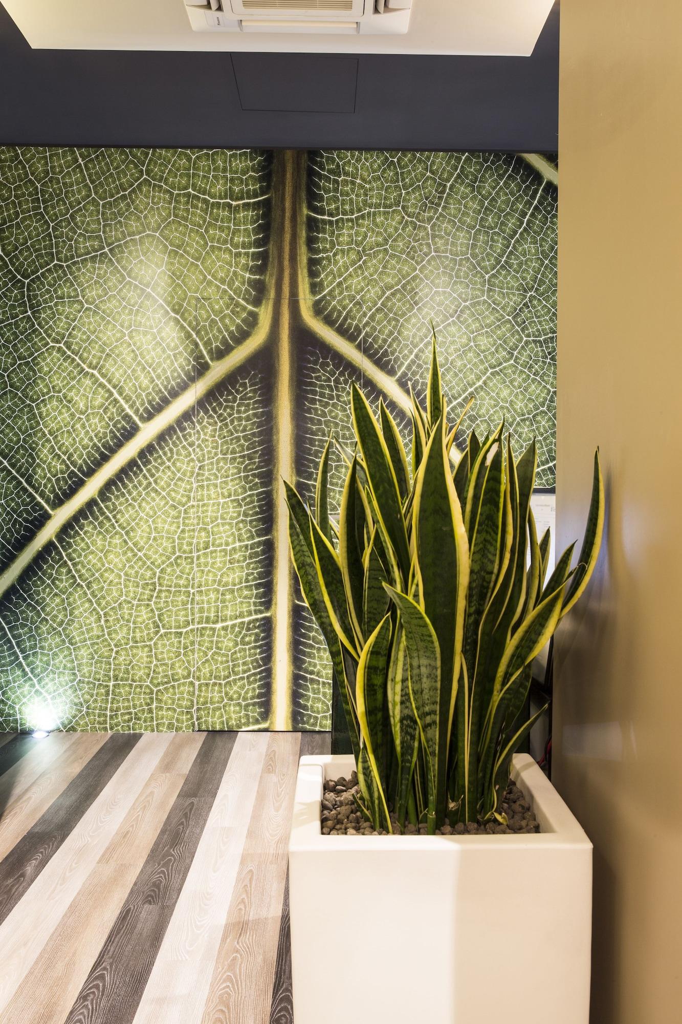 Vista Lobby Serendipity Rooms