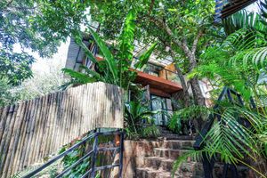 Alojamiento - FabHotel Amazonika Boutique Resort