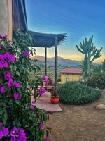 Paquete - Charming fully equipped cottage in Valle de Guadalupe - Early check in!