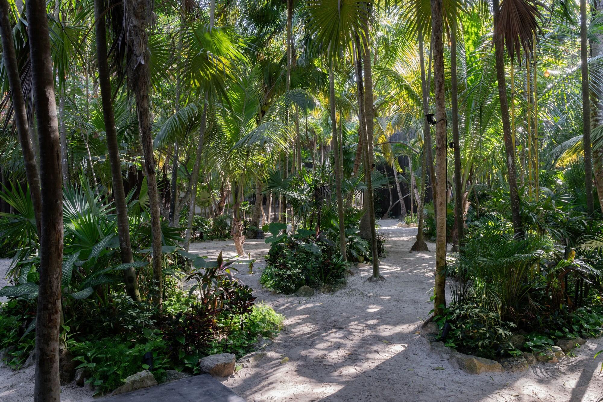 Vista Exterior UMi Tulum