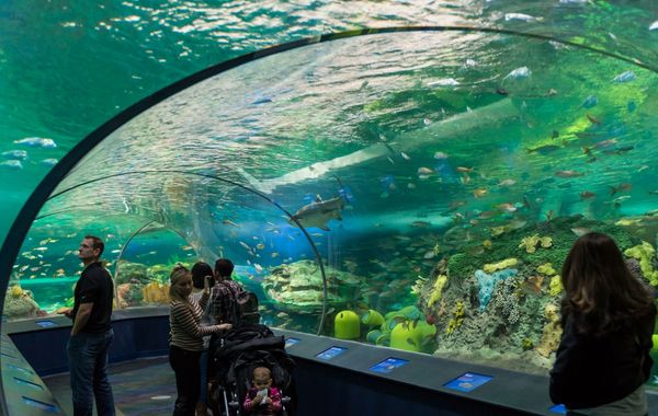 Marriott Downtown at CF Toronto Eaton Centre