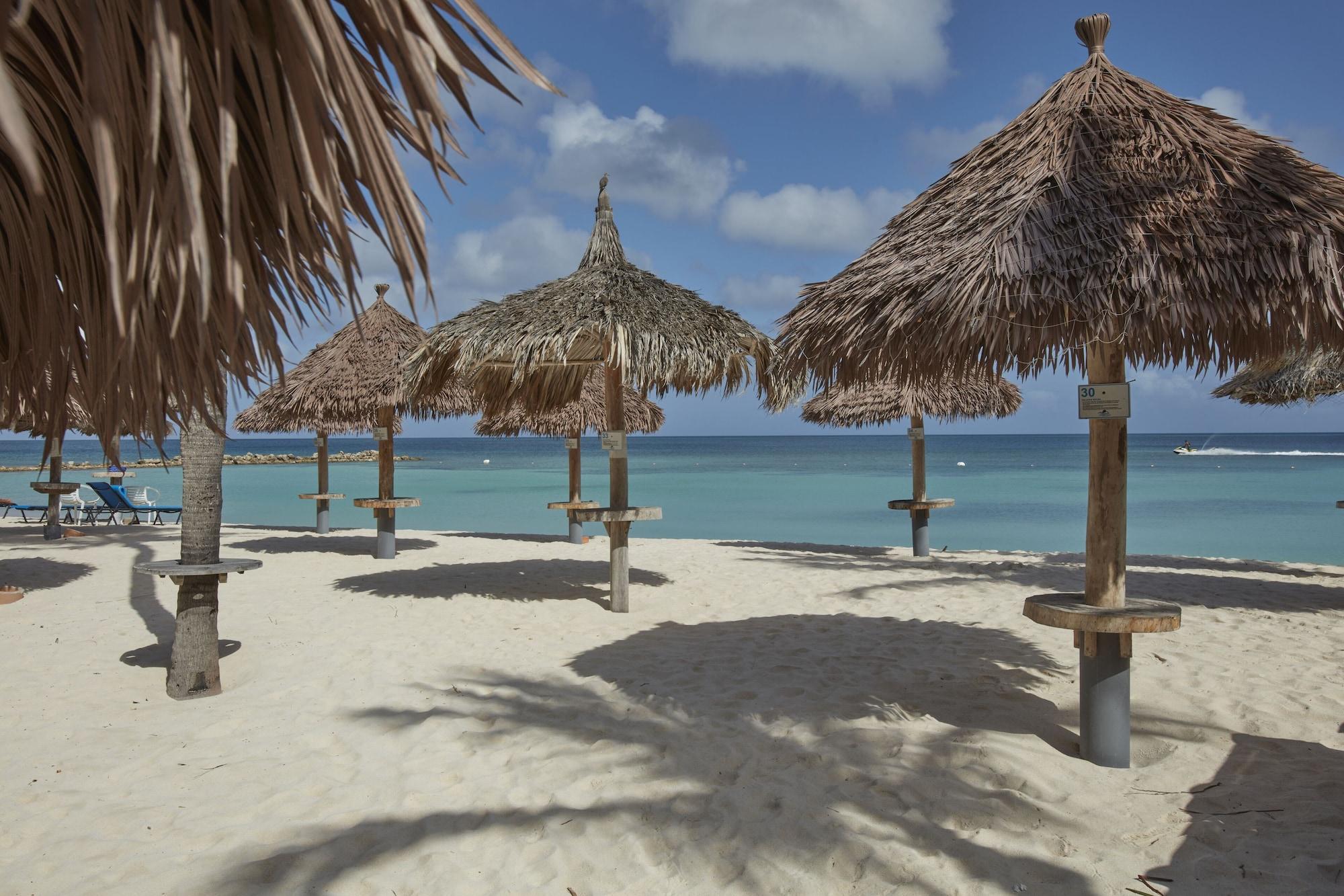 Playa Divi Aruba Phoenix Beach Resort
