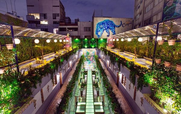 Hotel Parque México - Hoteles en Roma Sur de Ciudad de México