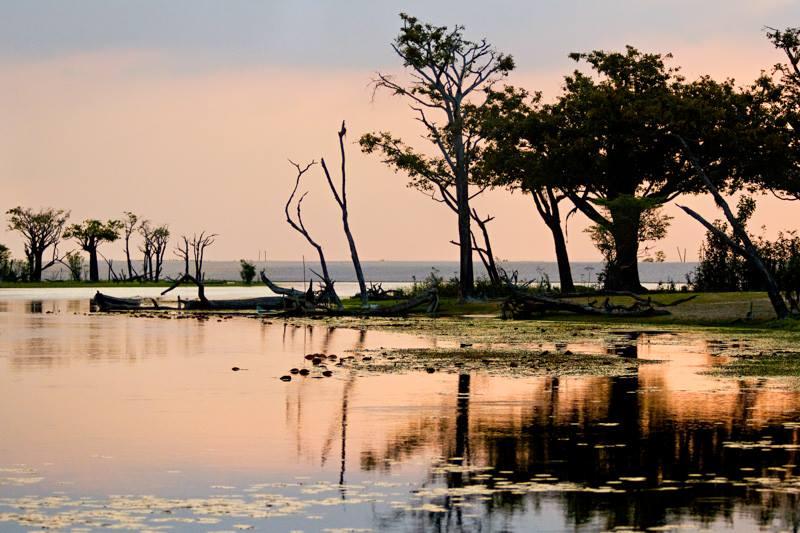 Set de Habitación Hotel Icamiabas