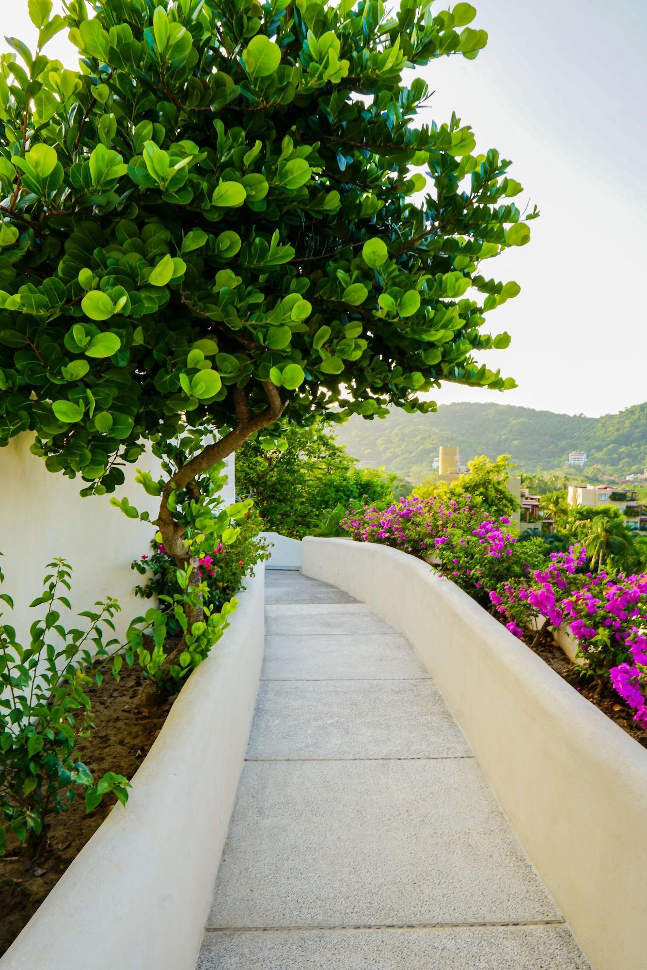 Varios Villas San Sebastián