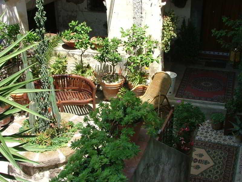 Varios Orchid Corner