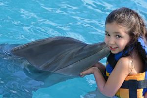 Actividad - Playa del Carmen: Dolphin Encounter