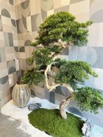 Alojamiento - Starlight Hotel