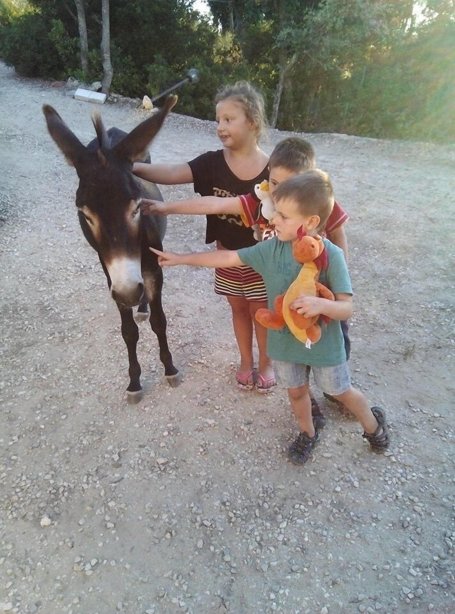 Instalaciones Recreativas La Valle Dei Corbezzoli