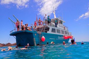 Actividad - Minicrucero y esnórquel
