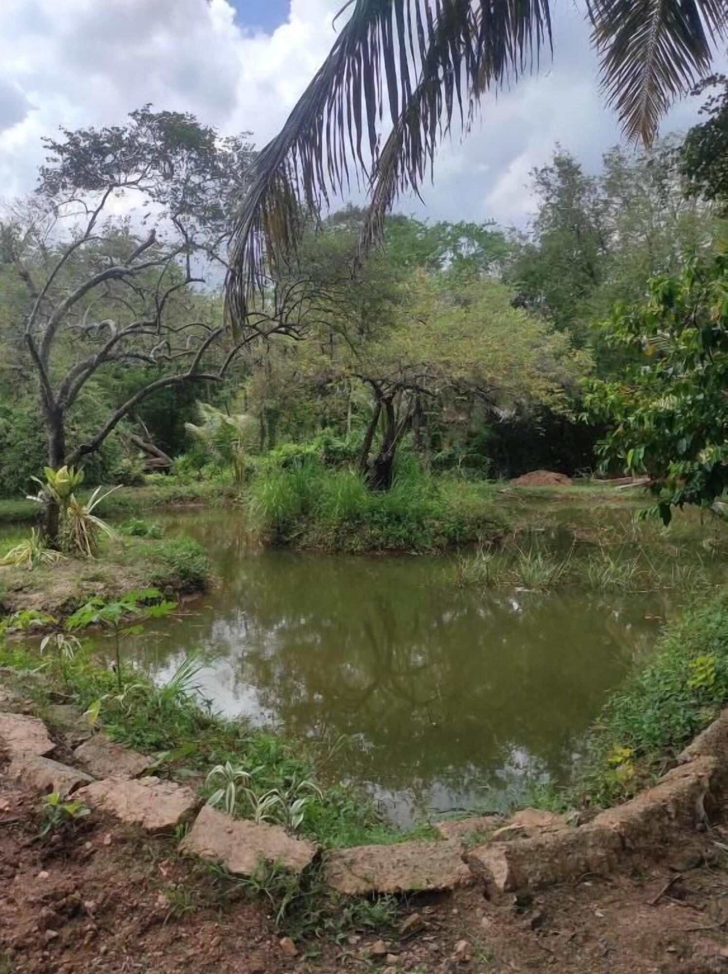 Varios Hotel Noble Sight