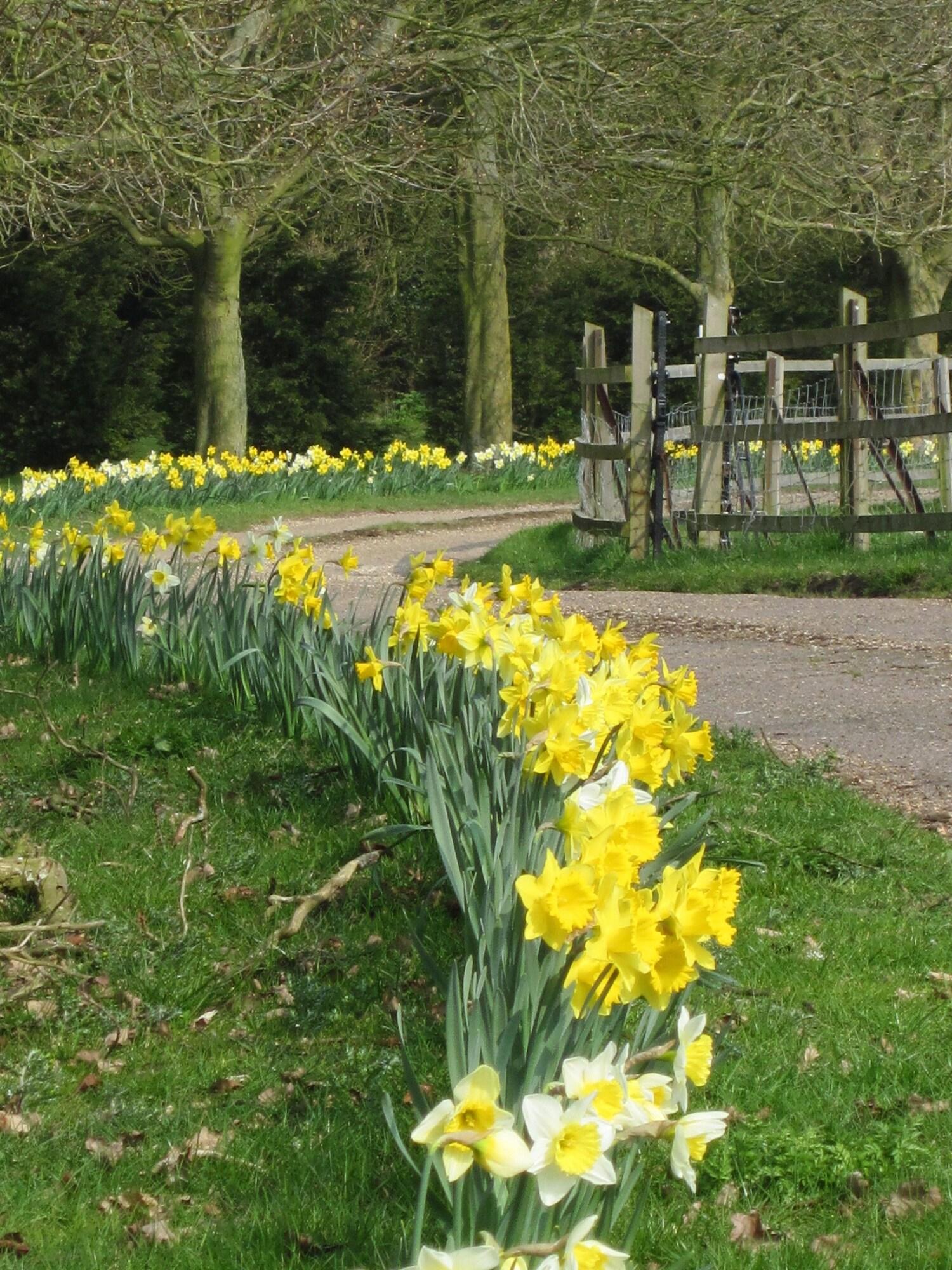Vista Exterior Colston Hall Farmhouse B&B