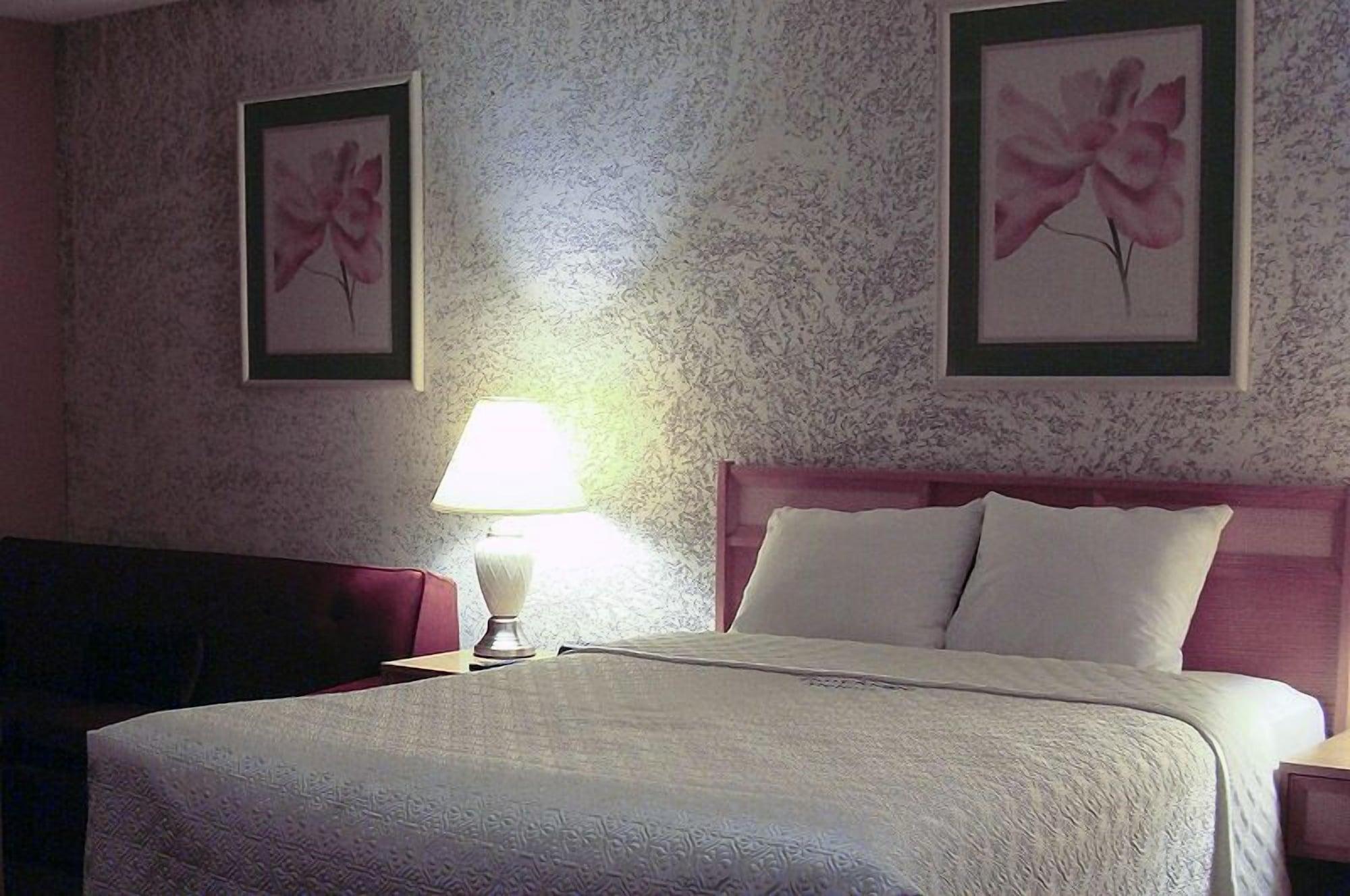 Habitación Bluebird Hotel