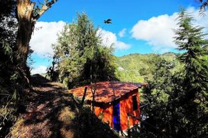 Alojamiento - Finca Montaña Magica