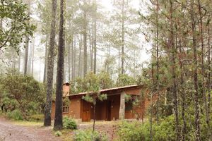 Alquiler Vacacional - Cabañas Llano Grande