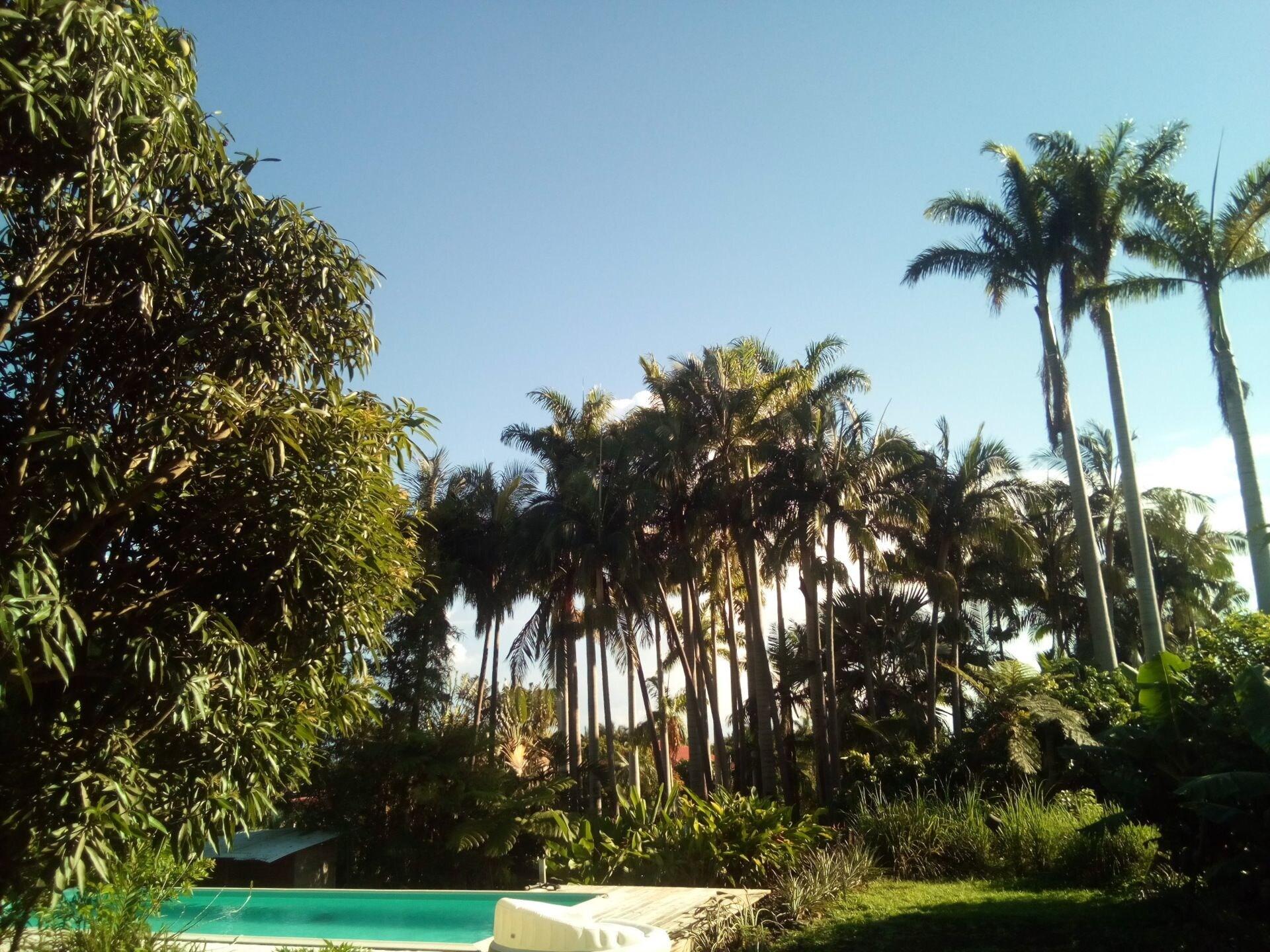 Vista Piscina Poivre & Citronnelle