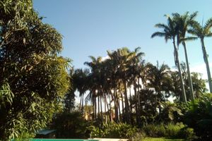 Alojamiento - Poivre & Citronnelle