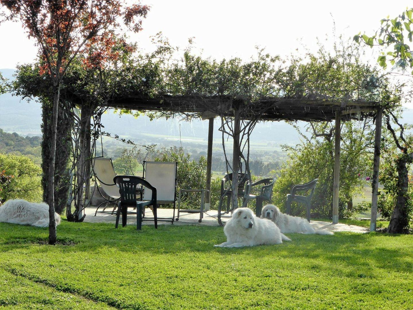 Vista Exterior Podere n° 8 in Maremma