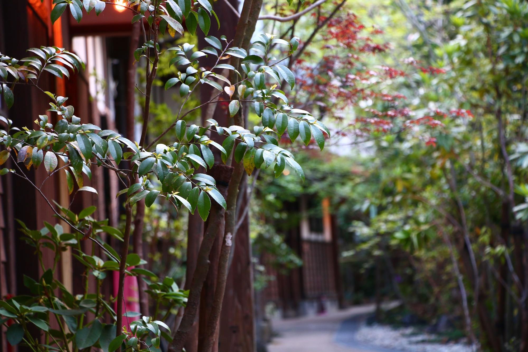 Comodidades del Alojamiento Yamakawa ZENZO