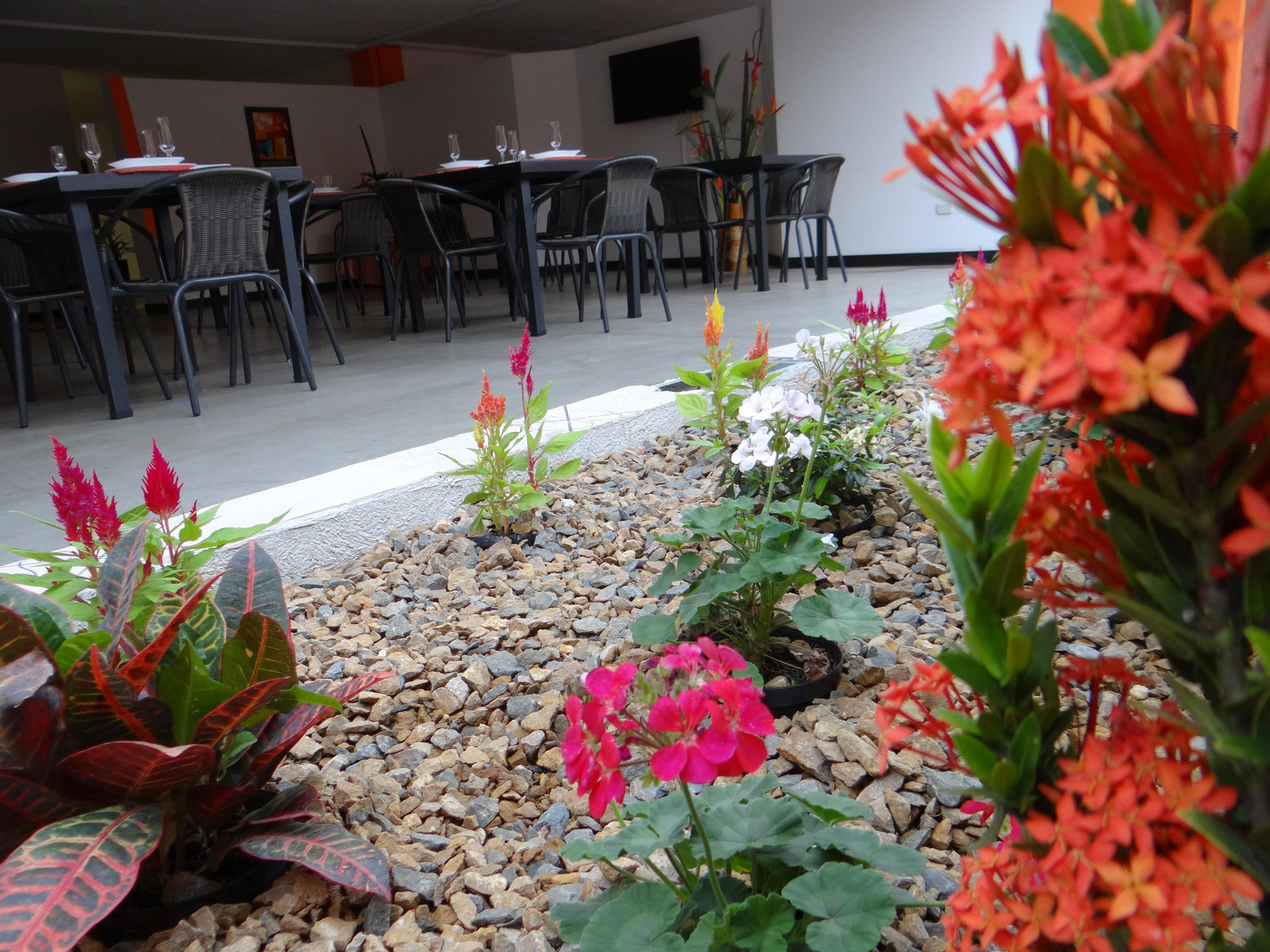 Vista Exterior Mare Apartasuite
