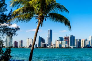Actividad - City Tour en Miami 