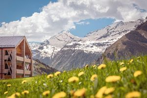 Alojamiento - Carpe Solem Rauris by ALPS RESORTS