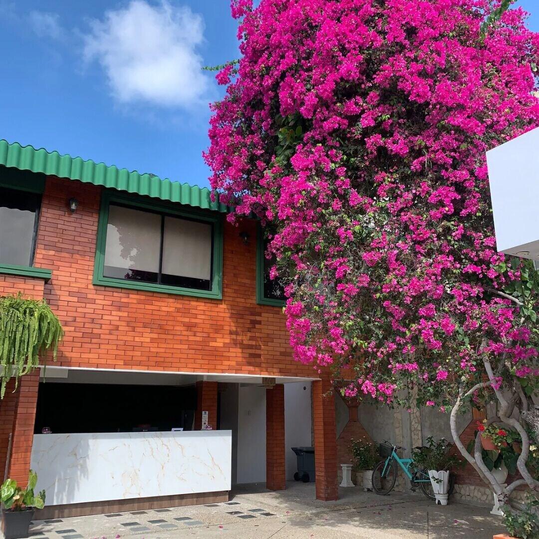Vista Lobby La Mar Hotel Playas