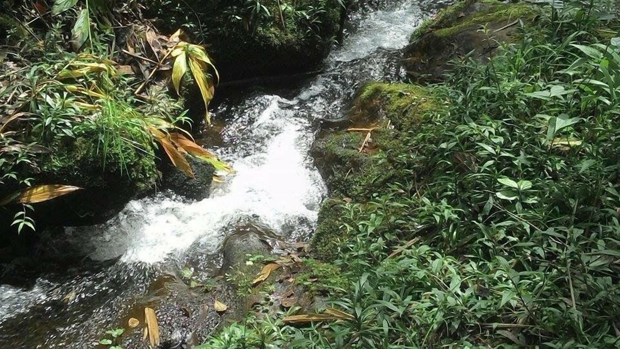 Vista Exterior Gato de Botas Flats & Suites