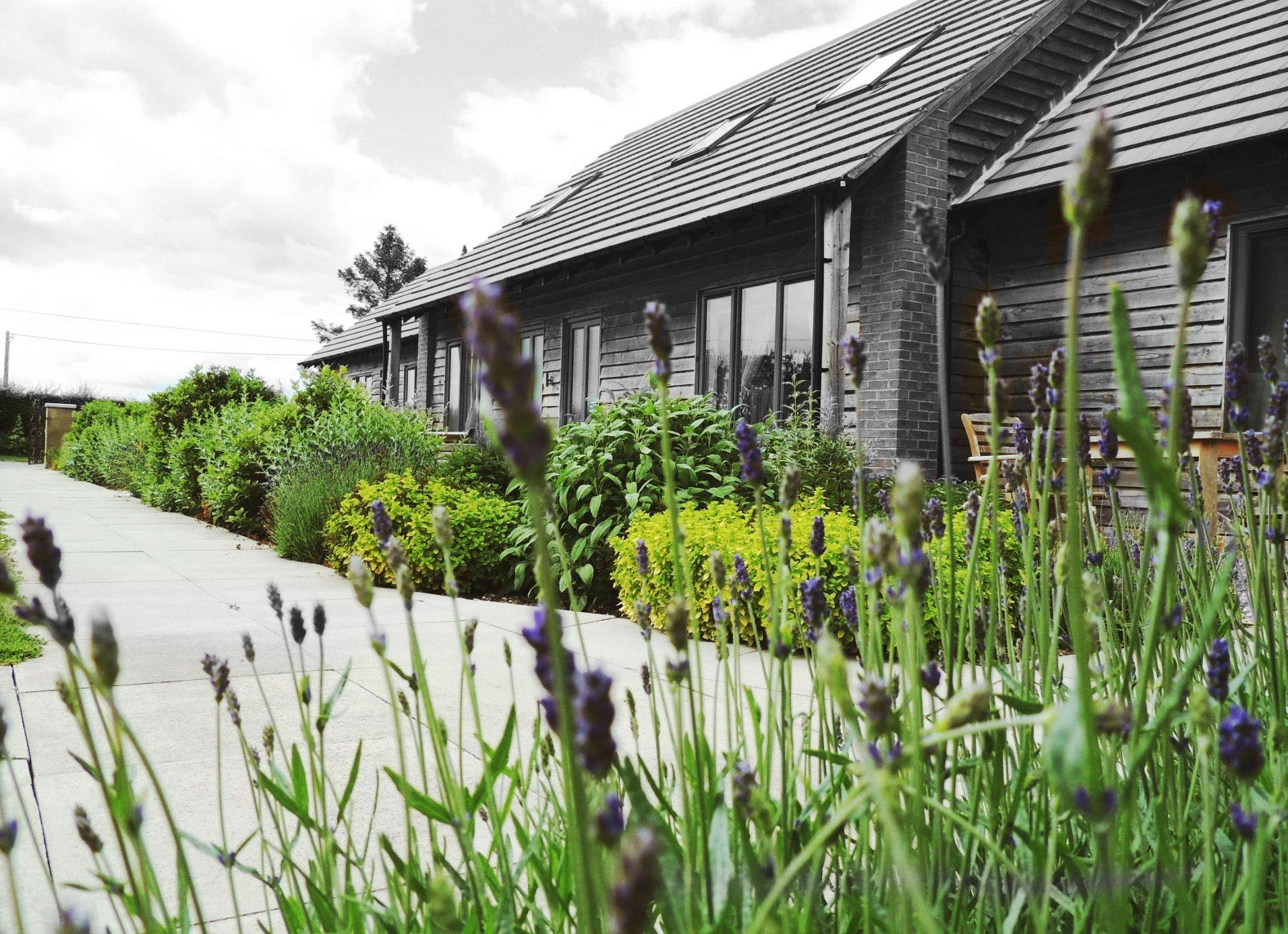 Varios Elm Tree Farm Accommodation