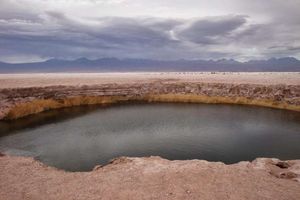 Actividad - Tour a las lagunas de Cejar, Tebinquiche y Ojos del Salar Atacama