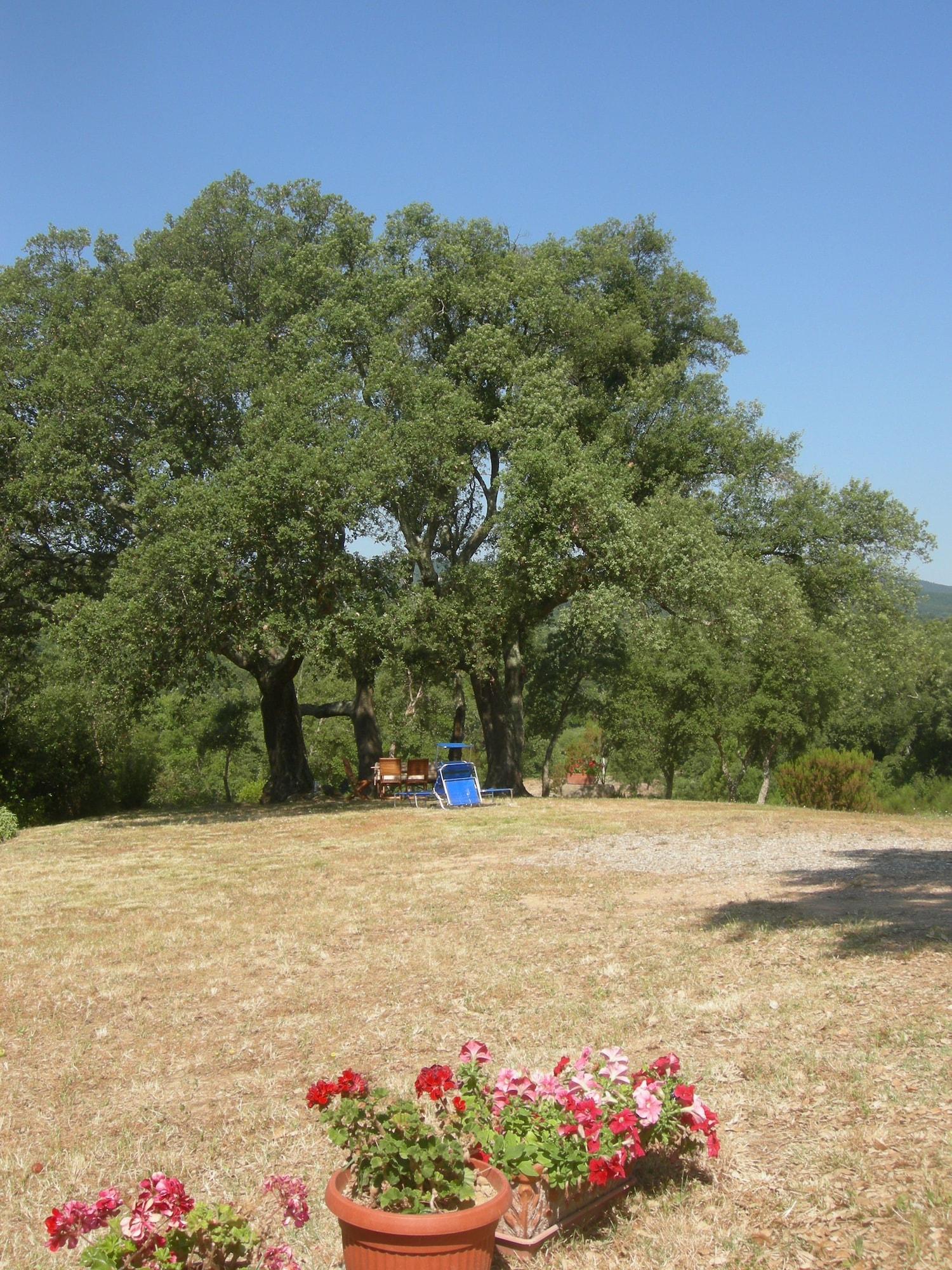 Comodidades del Alojamiento Agriturismo Poggio Macinaio