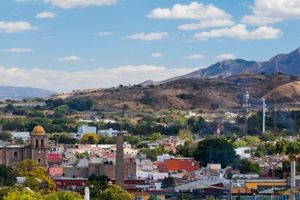 Activity - Tequila Sightseeing Tour + Orendain Distillery Tour