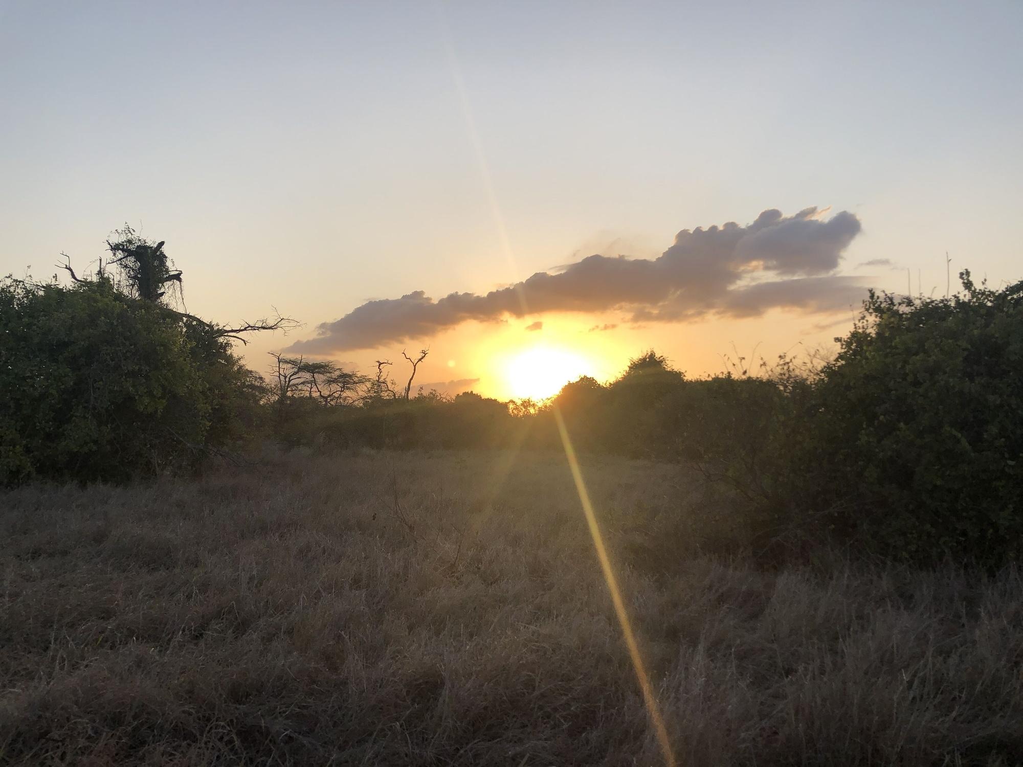 Vista Exterior Saadani Safari Lodge - bush, river, beach