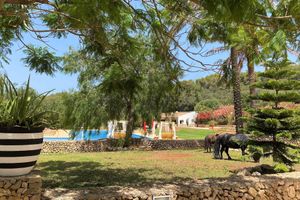 Alojamiento - Hotel Llucatx Menorca