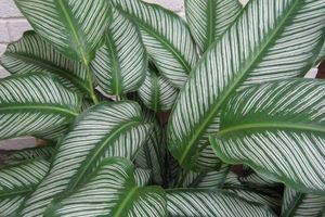 Alquiler Vacacional - Steinbecks Steinbecks