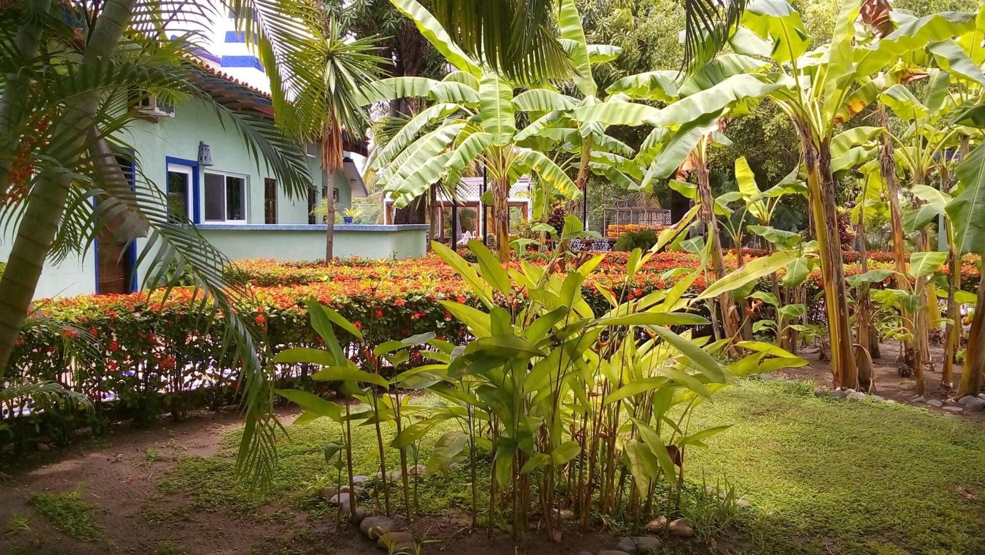 Comodidades del Alojamiento Hotel Marina San Blas