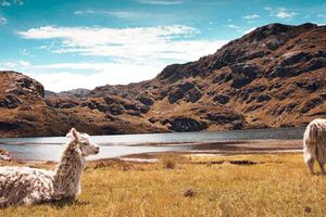 Actividad - Excursión al Parque Nacional Cajas