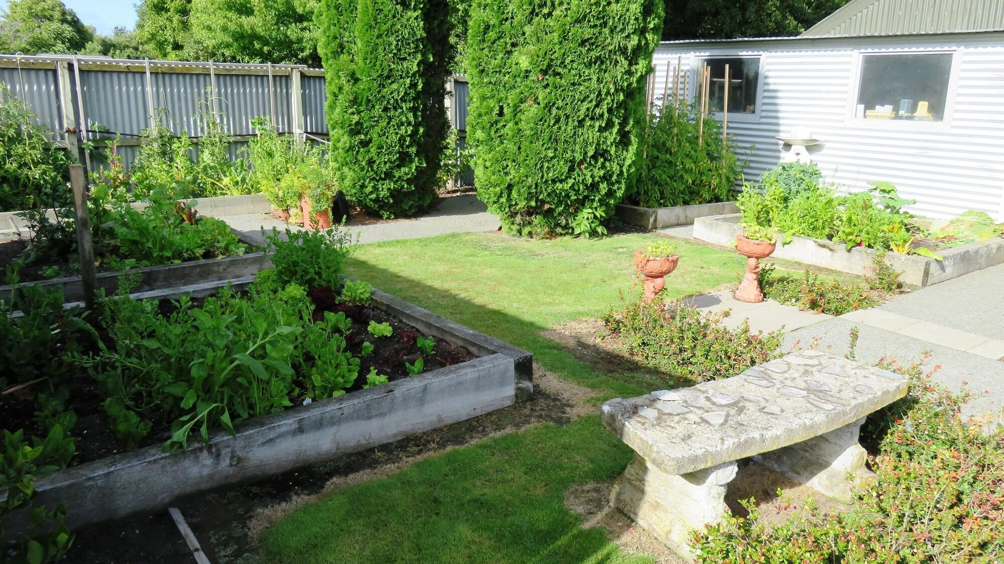 Vista Exterior Maples on Harewood