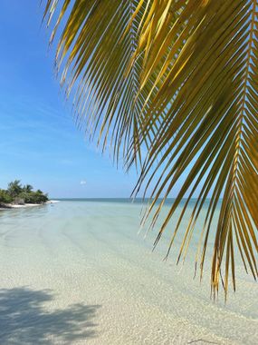 Charming Loft Retreat Ideal for Couples - C101 - Hoteles con alberca en Holbox, México