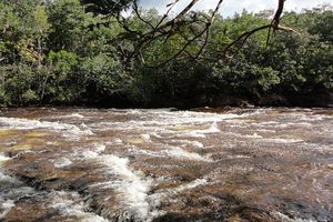 Actividad - Cascadas del Amazonas