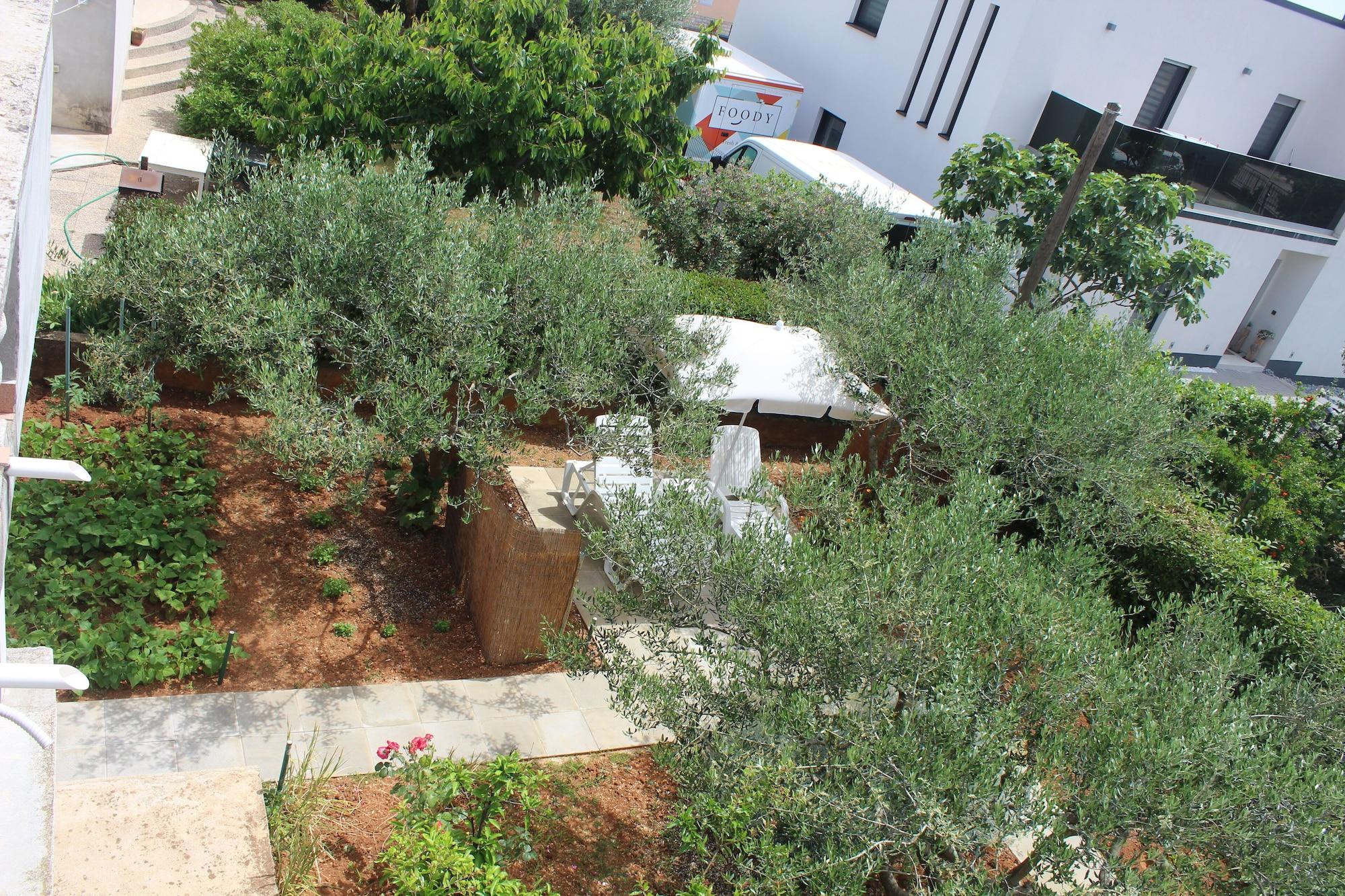 Comodidades del Alojamiento Apartments and Room Thea