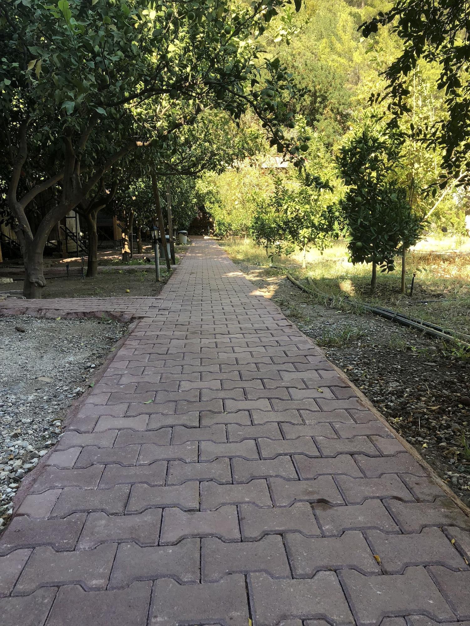 Comodidades del Alojamiento Olympos Varuna Pansiyon