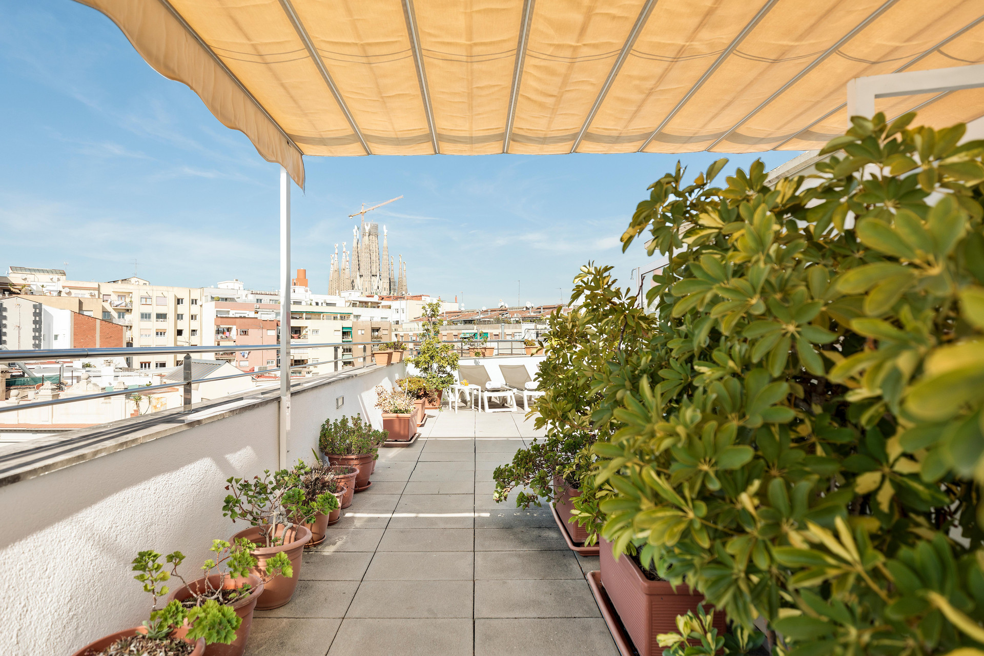 Varios Hotel Best Aranea