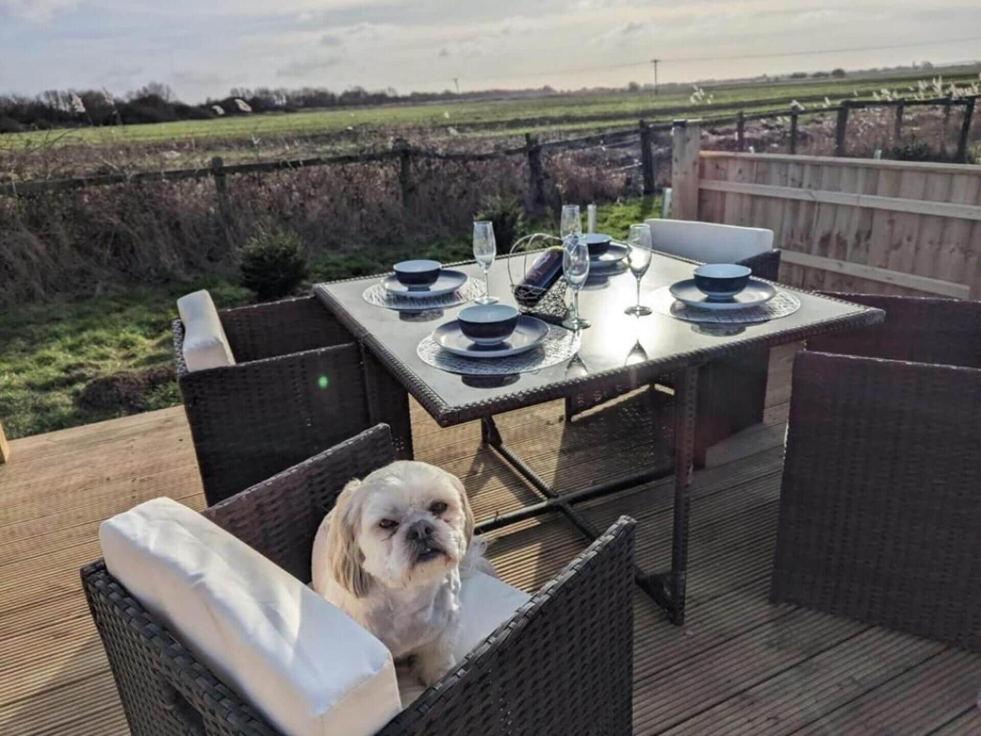 Restaurant Waterside Lodge - Dog Friendly, Sutton on Sea