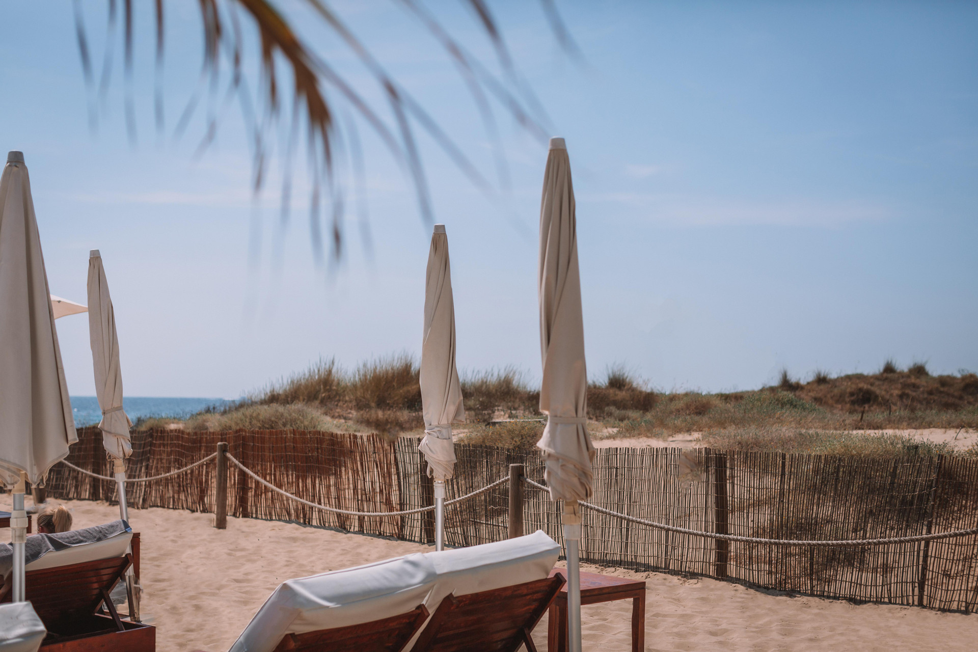 Playa BLESS Ibiza The Site - New Opening 2026