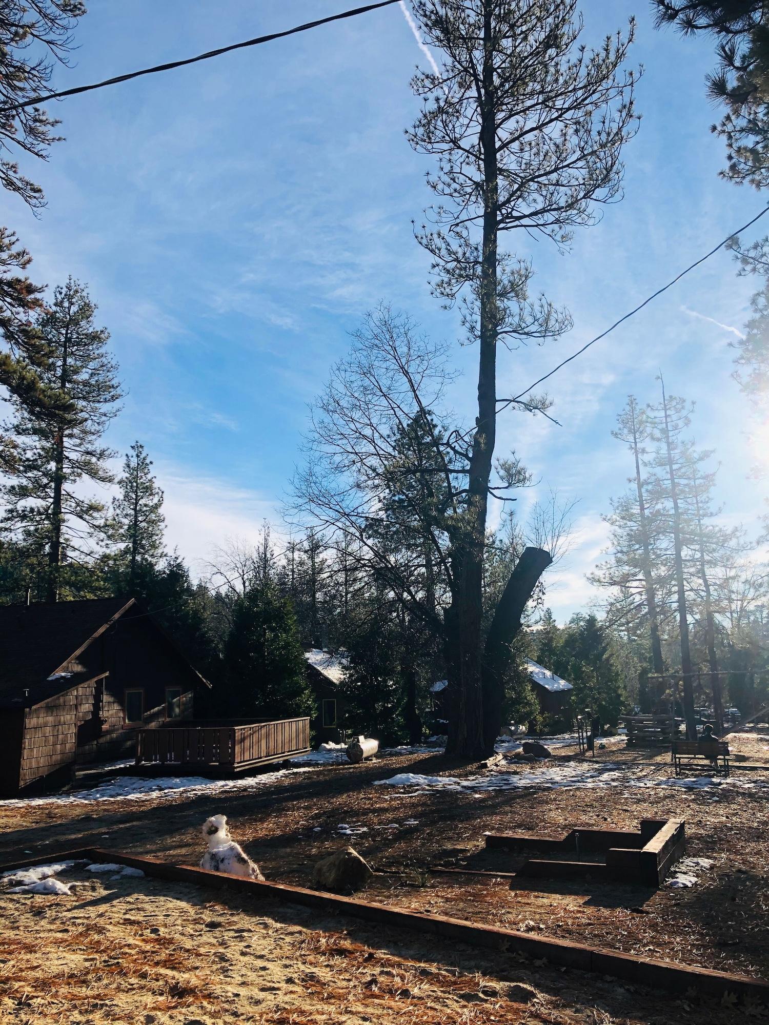 Vista Exterior Idyllwild Inn
