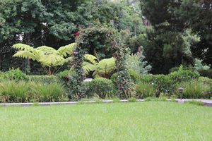 Alojamiento - Hotel Casa Gaia