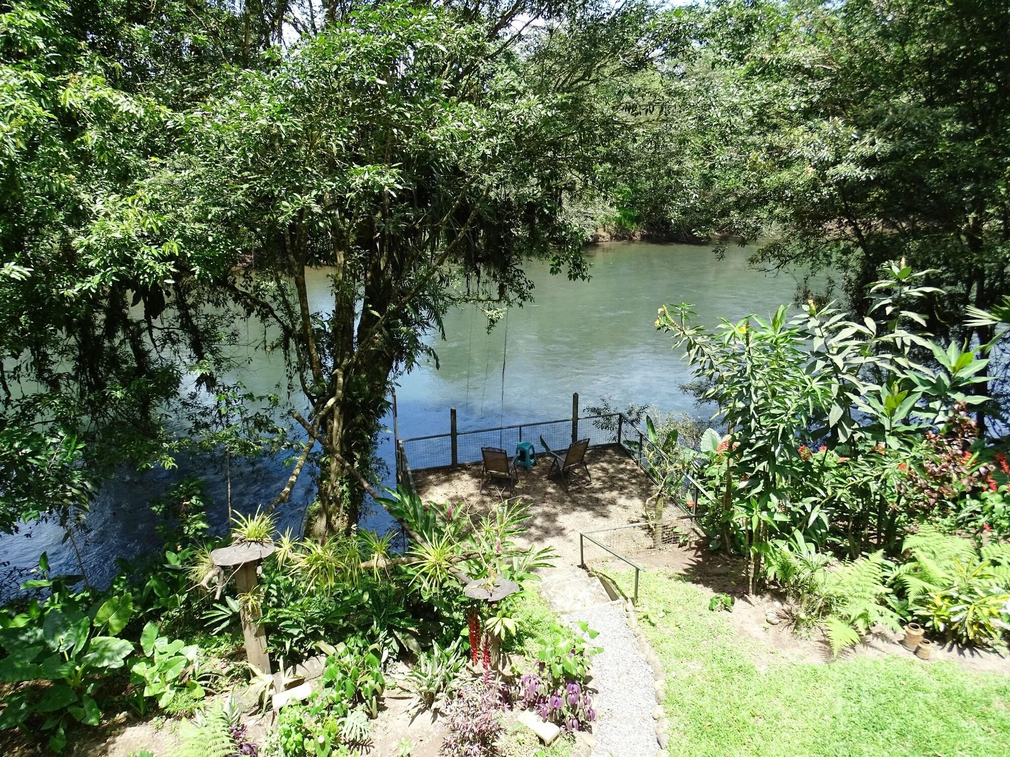 Vista Lobby Heliconia Island